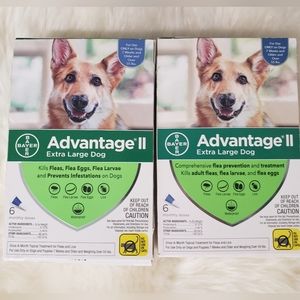 Advantage II Extra Large Dog flea treatment and prevention